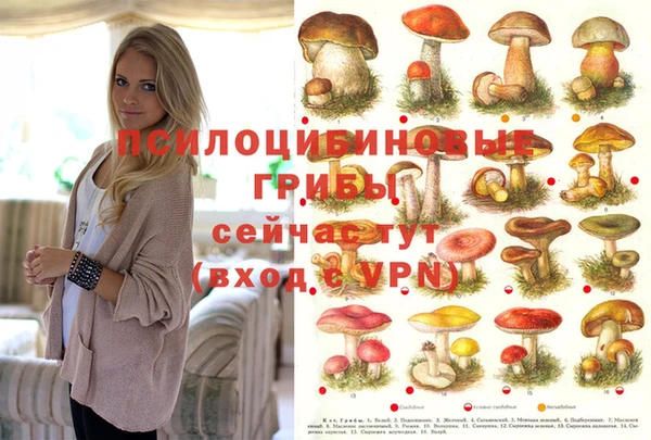 метамфетамин Алзамай